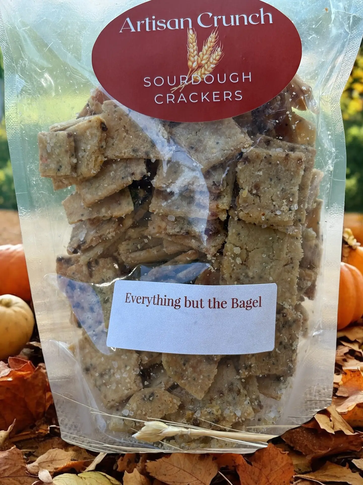 Everything but the Bagel Sourdough Crackers